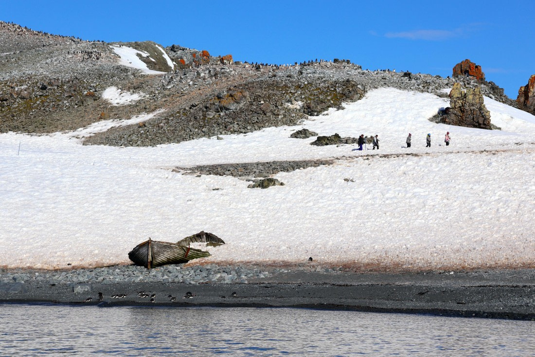 OTL22-25, Day 8, IMG_5697.JPG © Beth Hitchcock - Oceanwide Expeditions.JPG