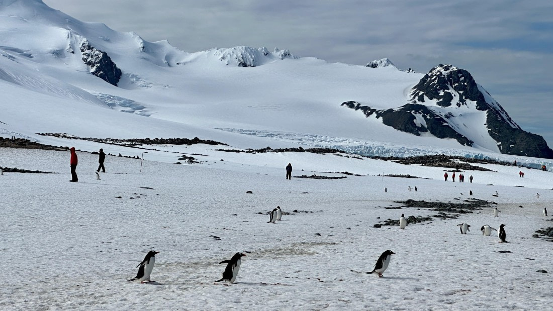 OTL22-25, Day 8, IMG_6975.jpeg © Allan White - Oceanwide Expeditions.jpeg