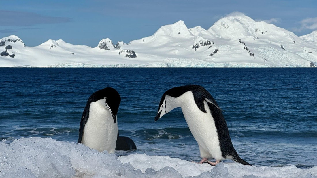 OTL22-25, Day 8, IMG_6984.jpeg © Allan White - Oceanwide Expeditions.jpeg