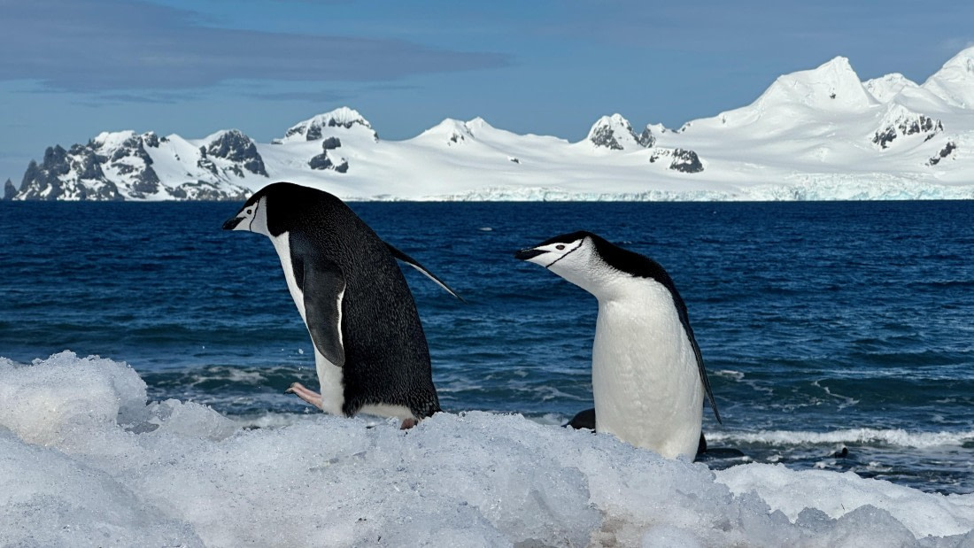 OTL22-25, Day 8, IMG_6987.jpeg © Allan White - Oceanwide Expeditions.jpeg