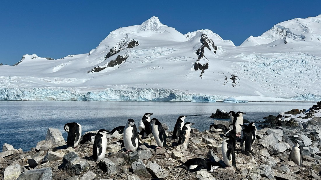 OTL22-25, Day 8, IMG_6998.jpeg © Allan White - Oceanwide Expeditions.jpeg