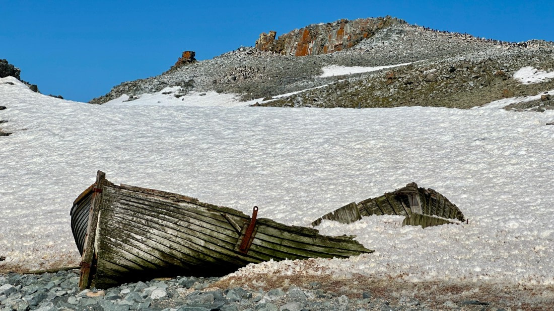 OTL22-25, Day 8, IMG_7060.jpeg © Allan White - Oceanwide Expeditions.jpeg