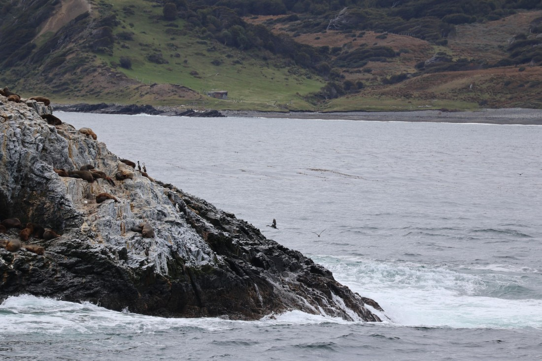 OTL22-25, Day 10, IMG_5787.JPG © Beth Hitchcock - Oceanwide Expeditions.JPG