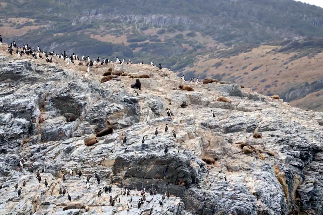 OTL22-25, Day 10, IMG_5790.JPG © Beth Hitchcock - Oceanwide Expeditions.JPG