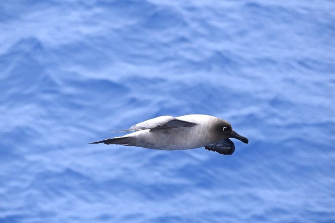 OTL23-25, Day 2, Picture3.jpg © Unknown photographer - Oceanwide Expeditions.jpg