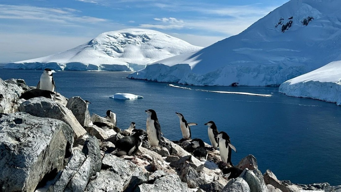 OTL23-25, Day 4, Picture13.jpg © Unknown photographer - Oceanwide Expeditions.jpg