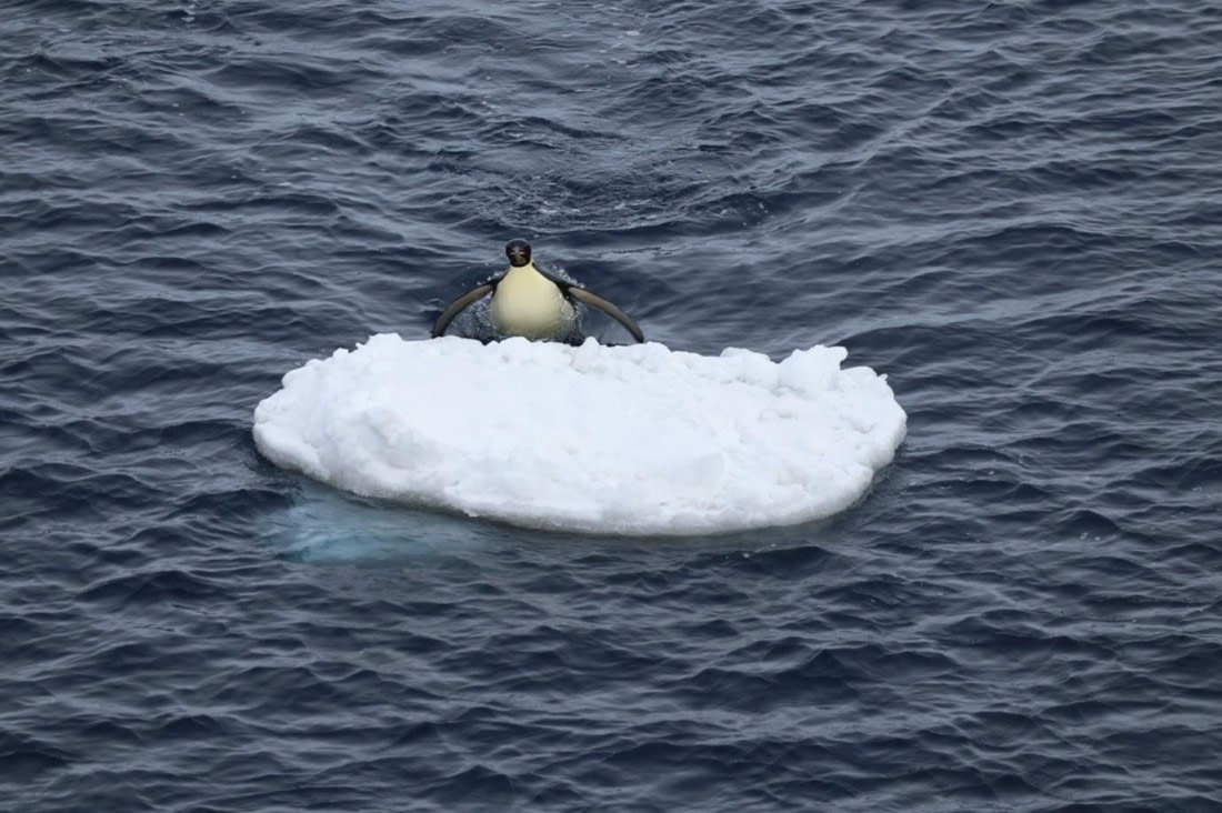 OTL23-25, Day 7, Picture32.jpg © Unknown photographer - Oceanwide Expeditions.jpg