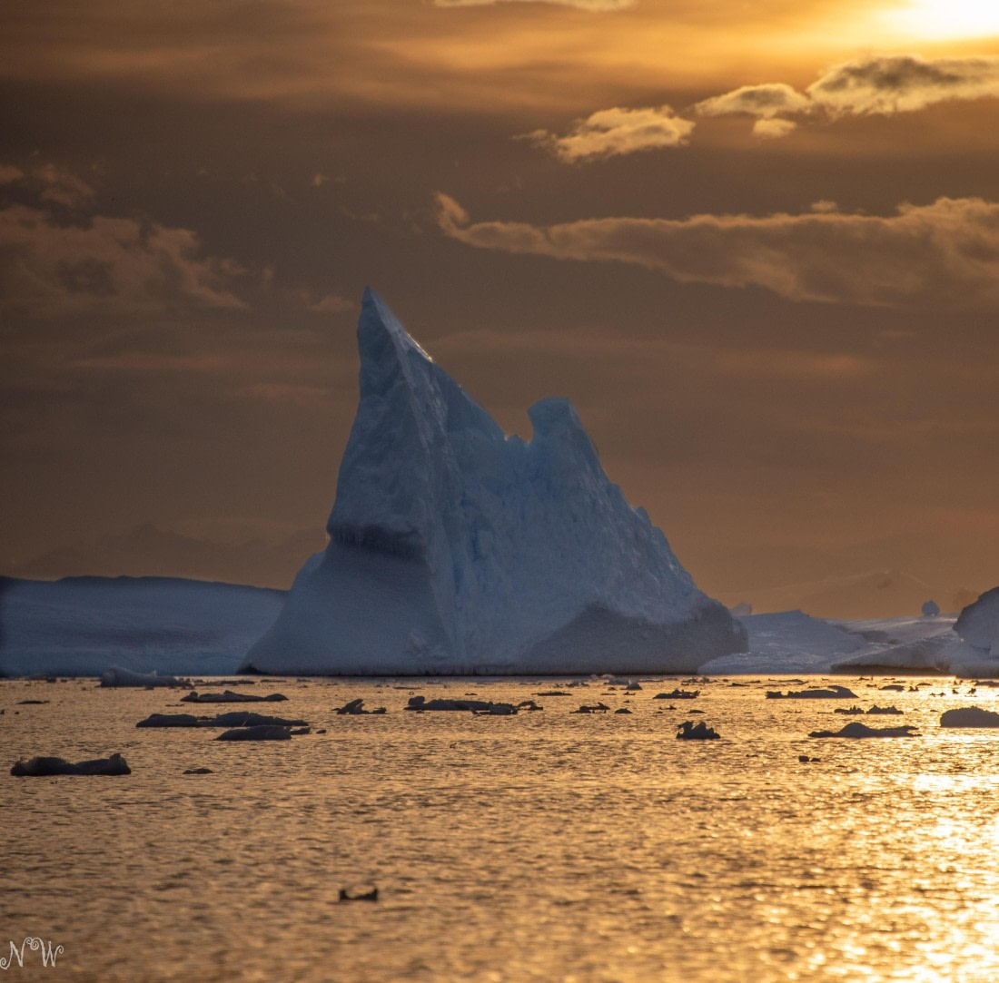 Iceberg at dusk