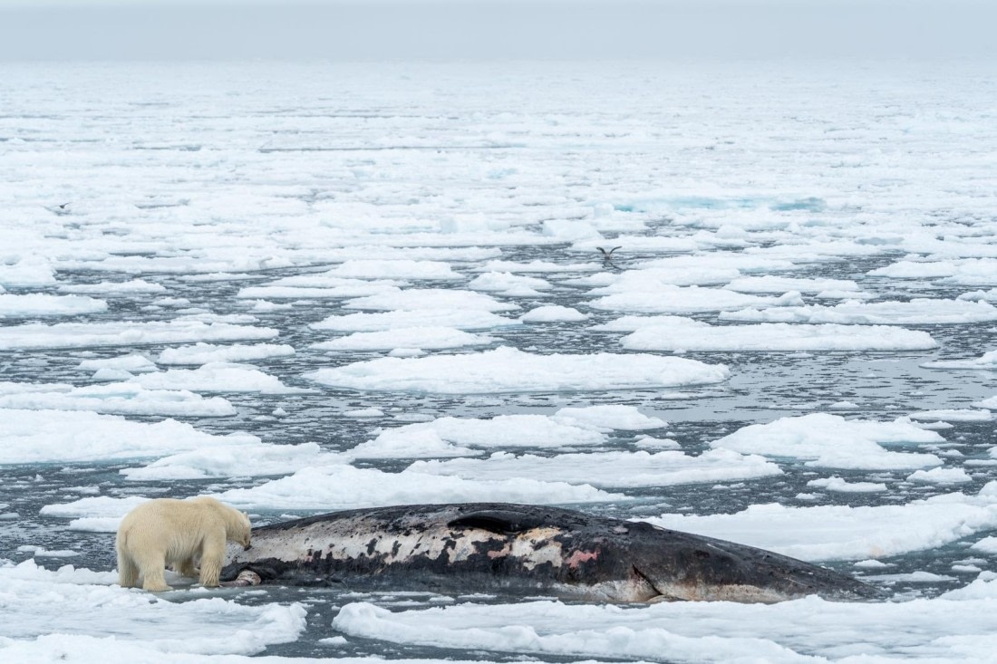 unexpected encounters