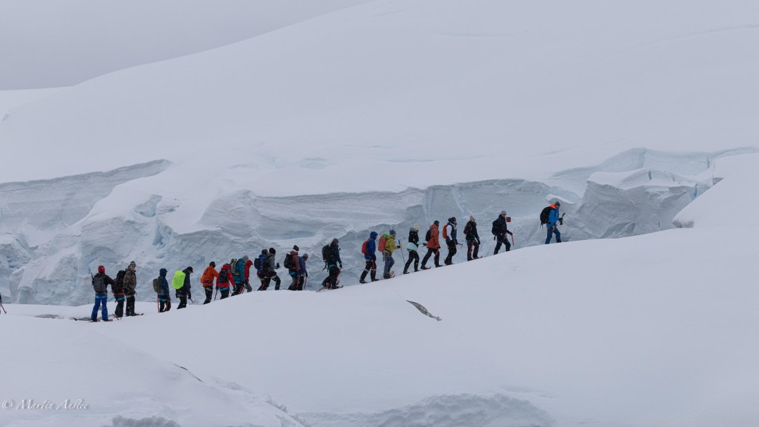 HDS23-25, Day 4, 0Q9A6143 © Martin Anstee - Oceanwide Expeditions.jpg