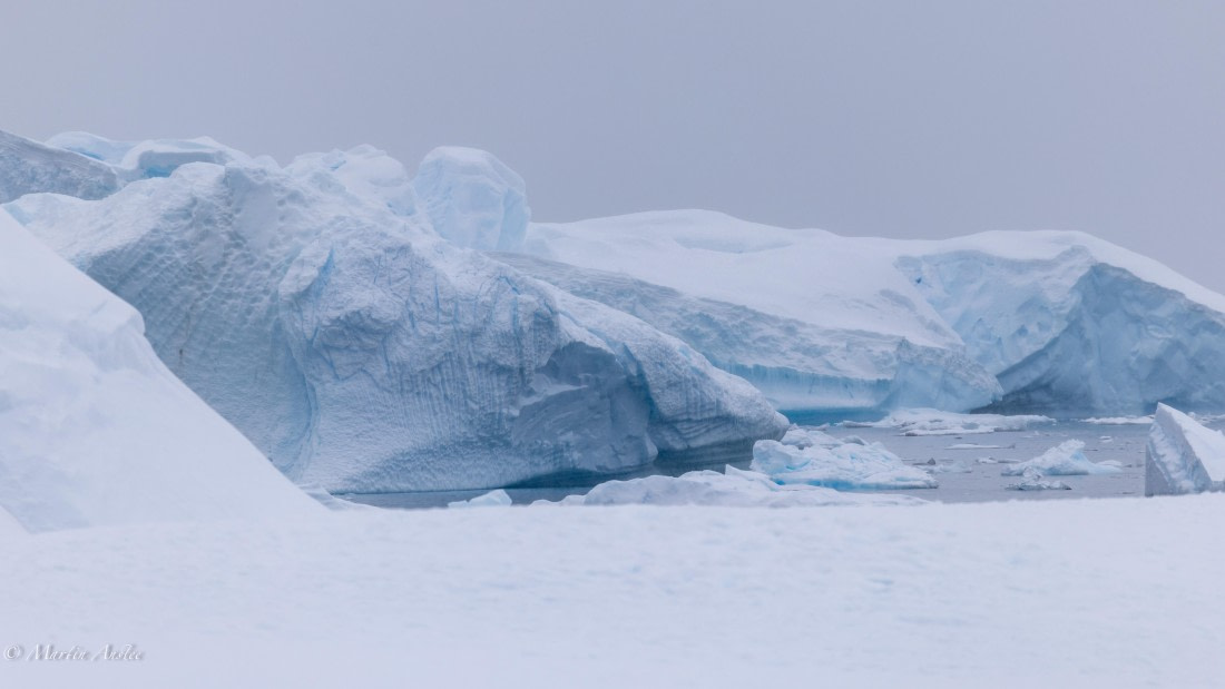 HDS23-25, Day 4, 0Q9A6268 © Martin Anstee - Oceanwide Expeditions.jpg