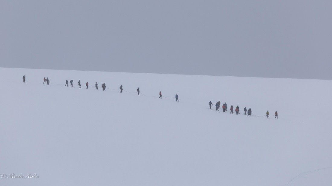 HDS23-25, Day 4, 0Q9A6281 © Martin Anstee - Oceanwide Expeditions.jpg