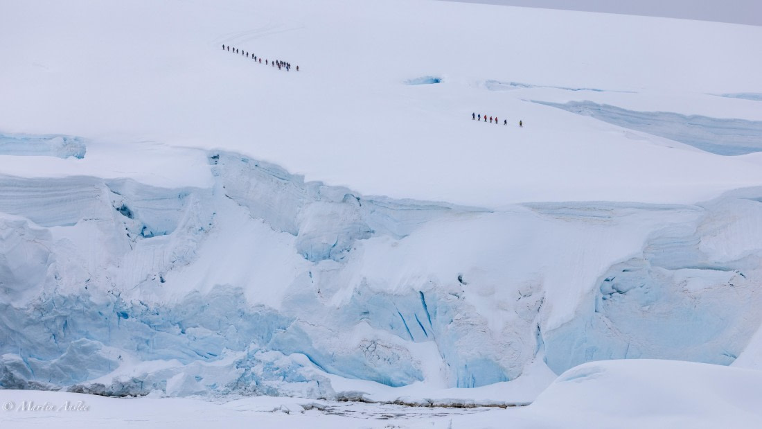 HDS23-25, Day 4, 0Q9A6297 © Martin Anstee - Oceanwide Expeditions.jpg