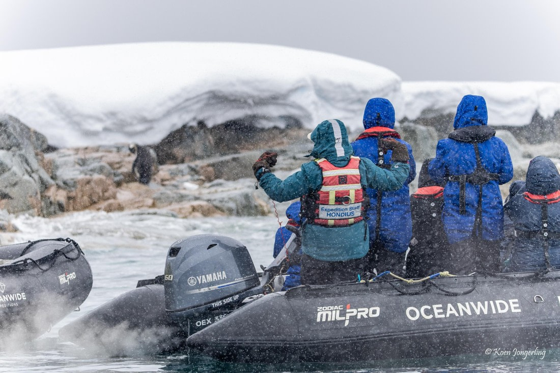 HDS23-25, Day 4, 5D5A9750 © Koen Jongerling - Oceanwide Expeditions.jpg