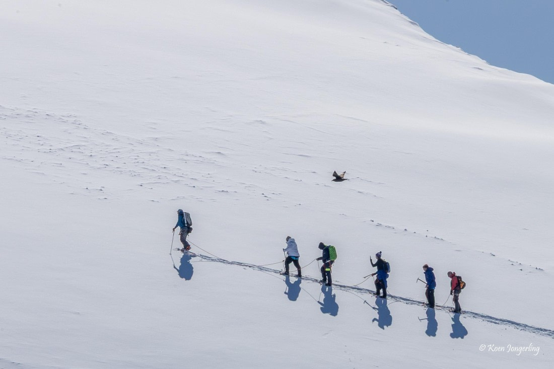 HDS23-25, Day 4, 5D5A9779 © Koen Jongerling - Oceanwide Expeditions.jpg