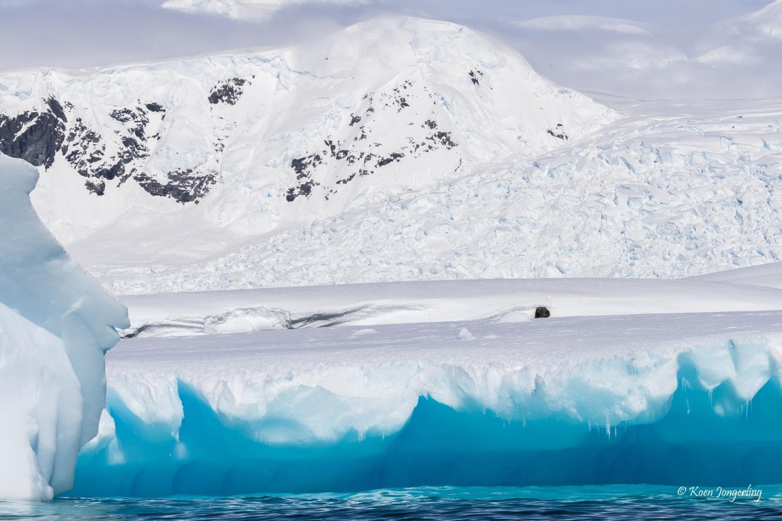 HDS23-25, Day 4, 5D5A9823 © Koen Jongerling - Oceanwide Expeditions.jpg