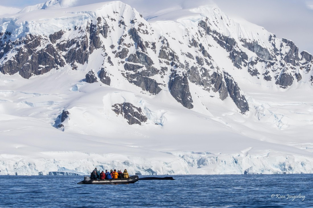 HDS23-25, Day 4, 5D5A9842 © Koen Jongerling - Oceanwide Expeditions.jpg