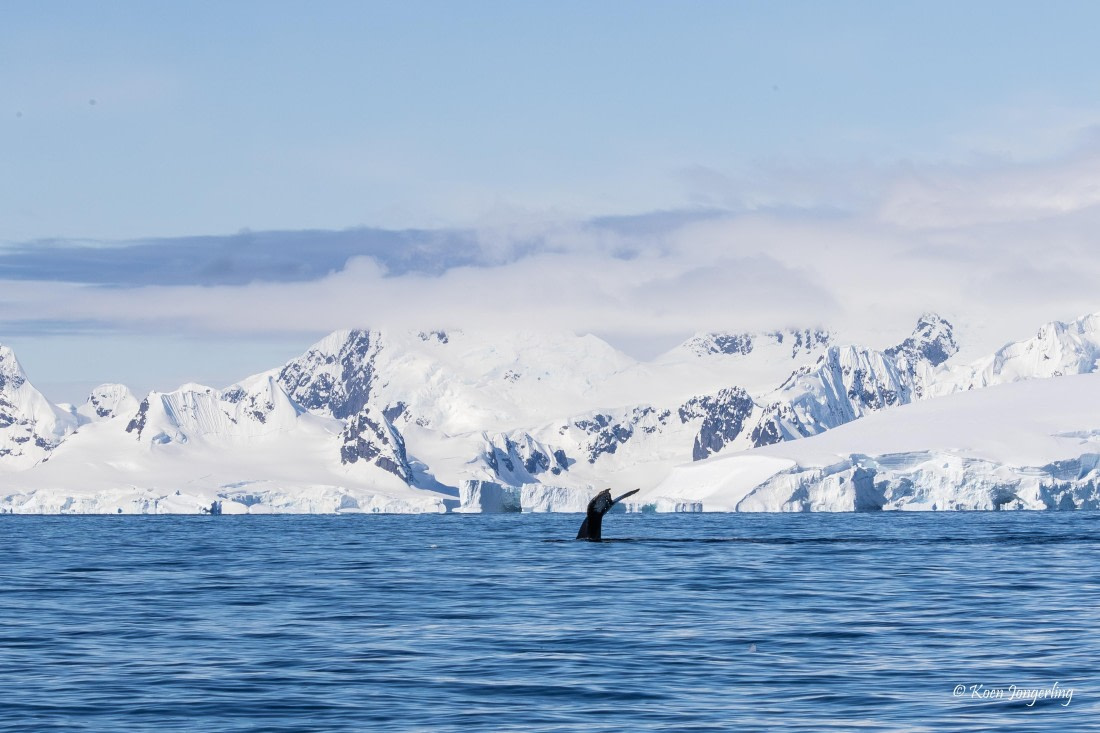 HDS23-25, Day 4, 5D5A9852 © Koen Jongerling - Oceanwide Expeditions.jpg
