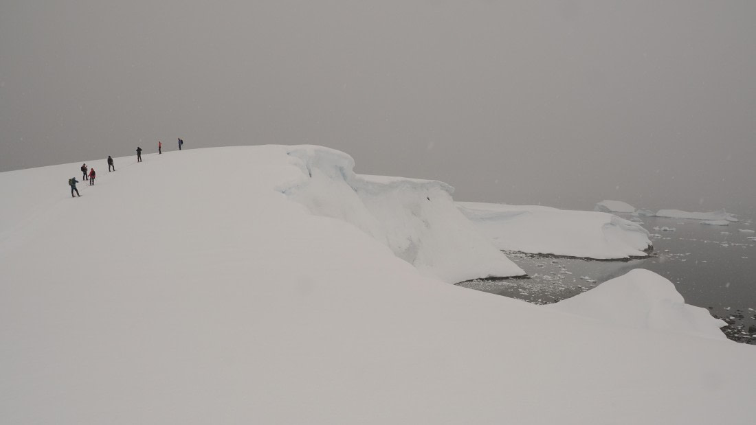 HDS23-25, Day 4, APMG6264 © Andy Perkins - Oceanwide Expeditions.JPG