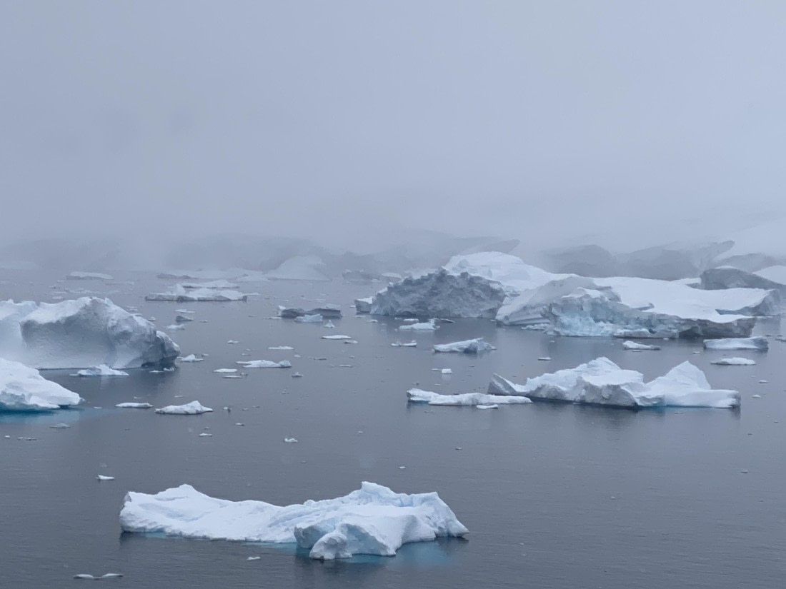 HDS23-25, Day 4, IMG_7497 © Unknown photographer - Oceanwide Expeditions.JPG