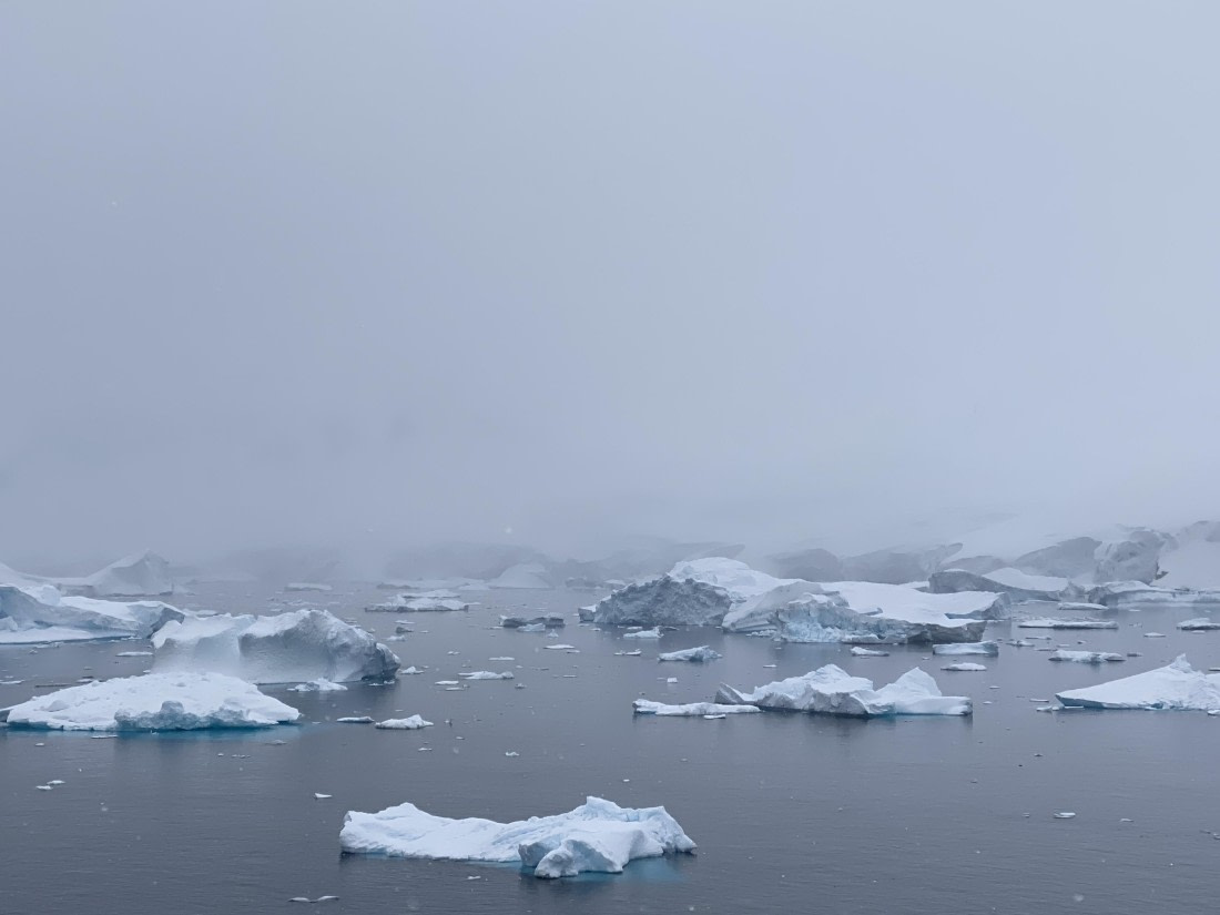 HDS23-25, Day 4, IMG_7498 © Unknown photographer - Oceanwide Expeditions.JPG