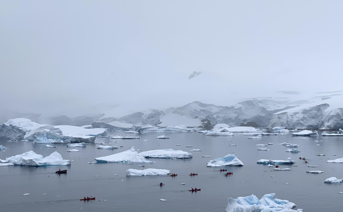 HDS23-25, Day 4, IMG_7500 © Unknown photographer - Oceanwide Expeditions.jpg