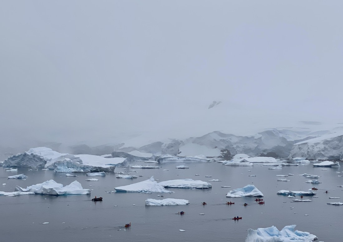 HDS23-25, Day 4, IMG_7501 © Unknown photographer - Oceanwide Expeditions.jpg