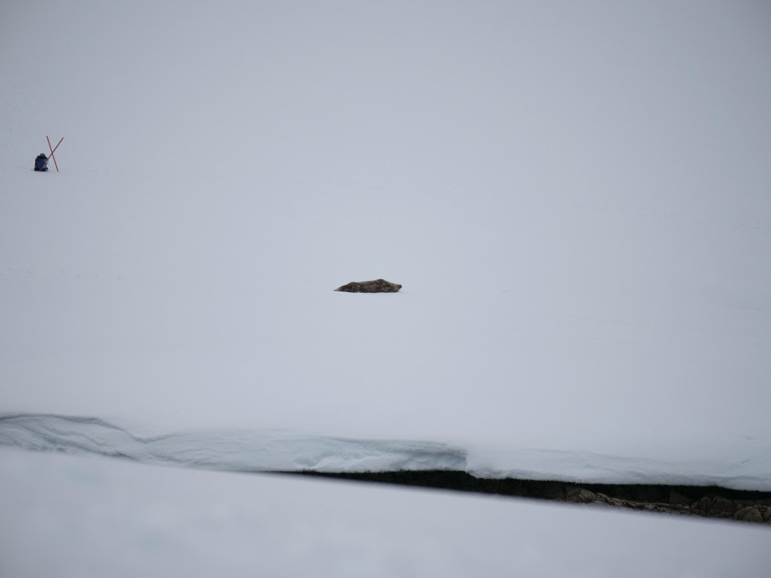 HDS23-25, Day 4, P1022777 © Unknown photographer - Oceanwide Expeditions.JPG