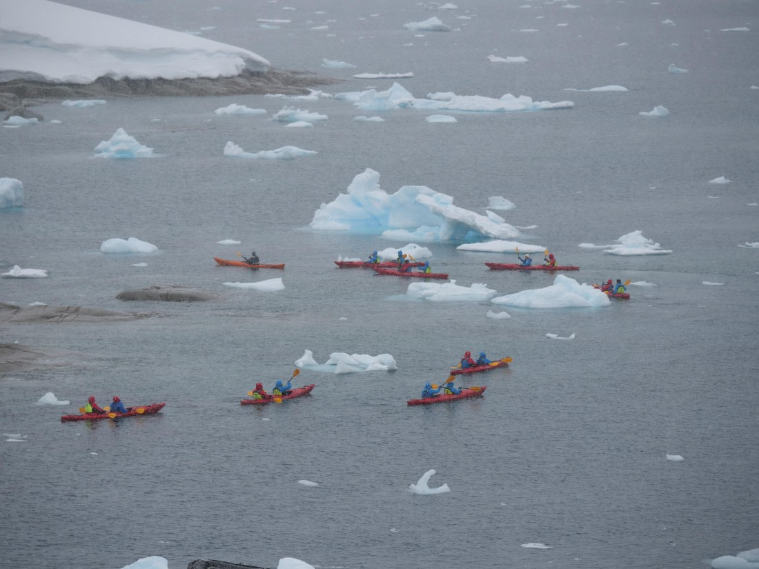HDS23-25, Day 4, P1022808 © Unknown photographer - Oceanwide Expeditions.JPG