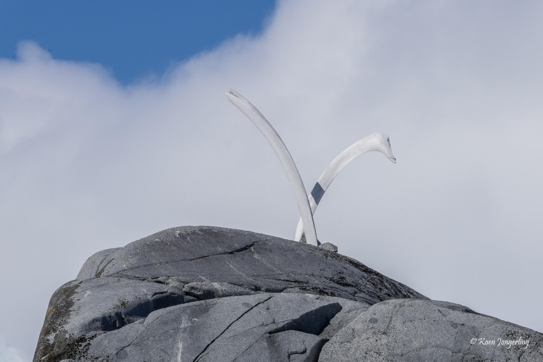 HDS23-25, Day 5, 5D5A9924 © Koen Jongerling - Oceanwide Expeditions.jpg