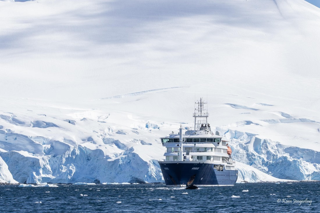 HDS23-25, Day 5, 5D5A9925 © Koen Jongerling - Oceanwide Expeditions.jpg