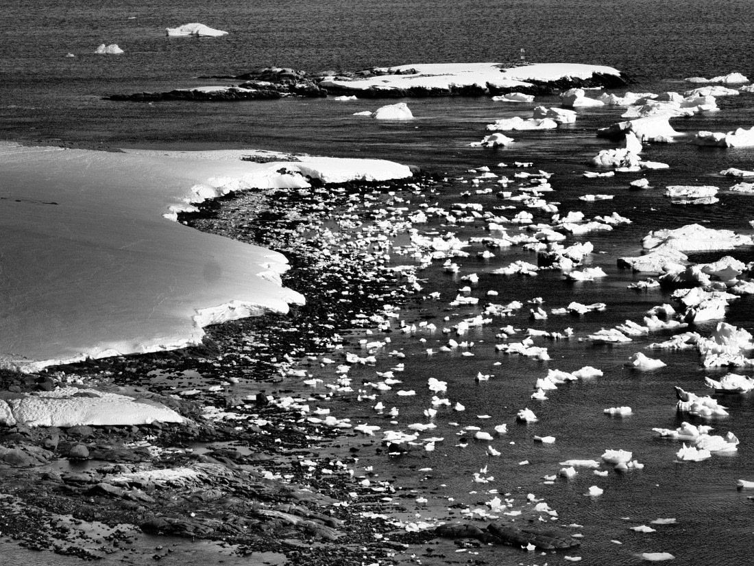 HDS23-25, Day 5, APMG6314 © Andy Perkins - Oceanwide Expeditions.JPG