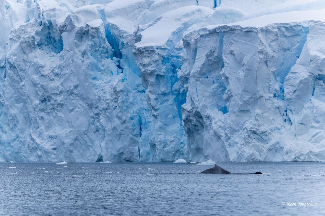 HDS23-25, Day 6, 5D5A9983 © Koen Jongerling - Oceanwide Expeditions.jpg