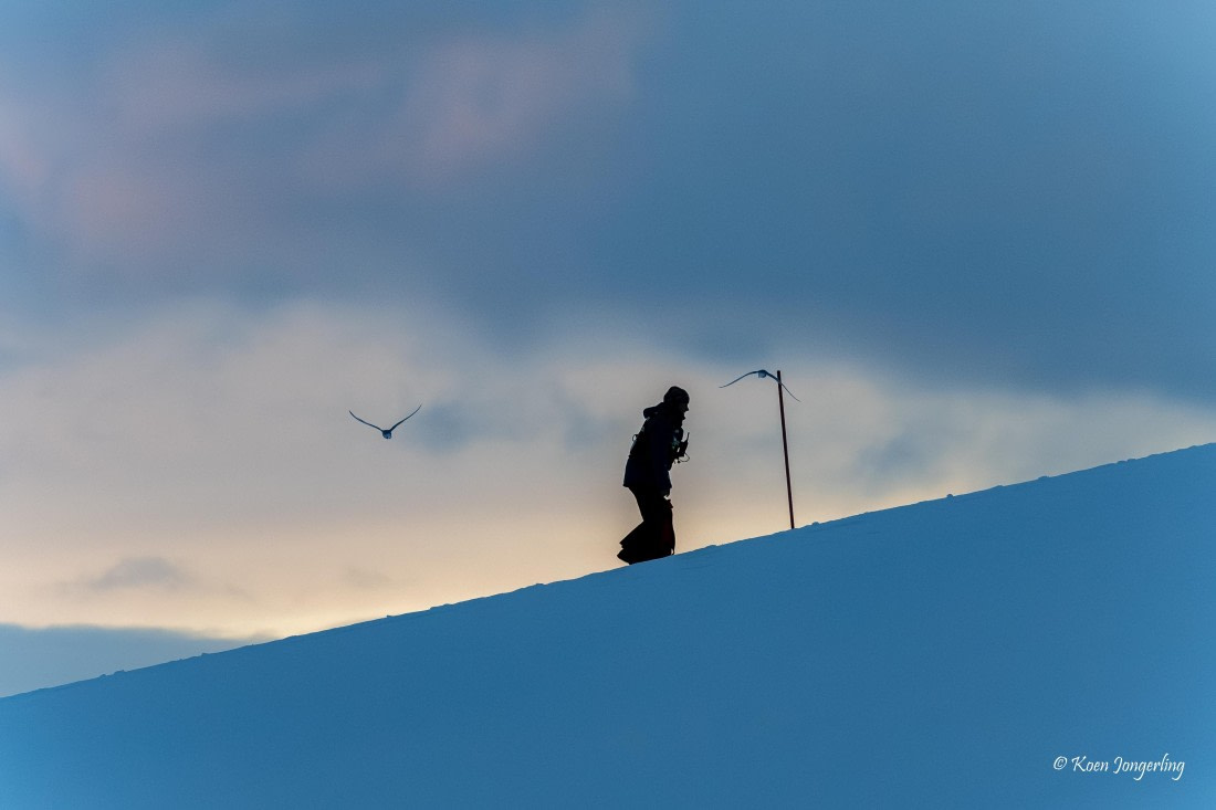 HDS23-25, Day 6, 5D5A9992 © Koen Jongerling - Oceanwide Expeditions.jpg