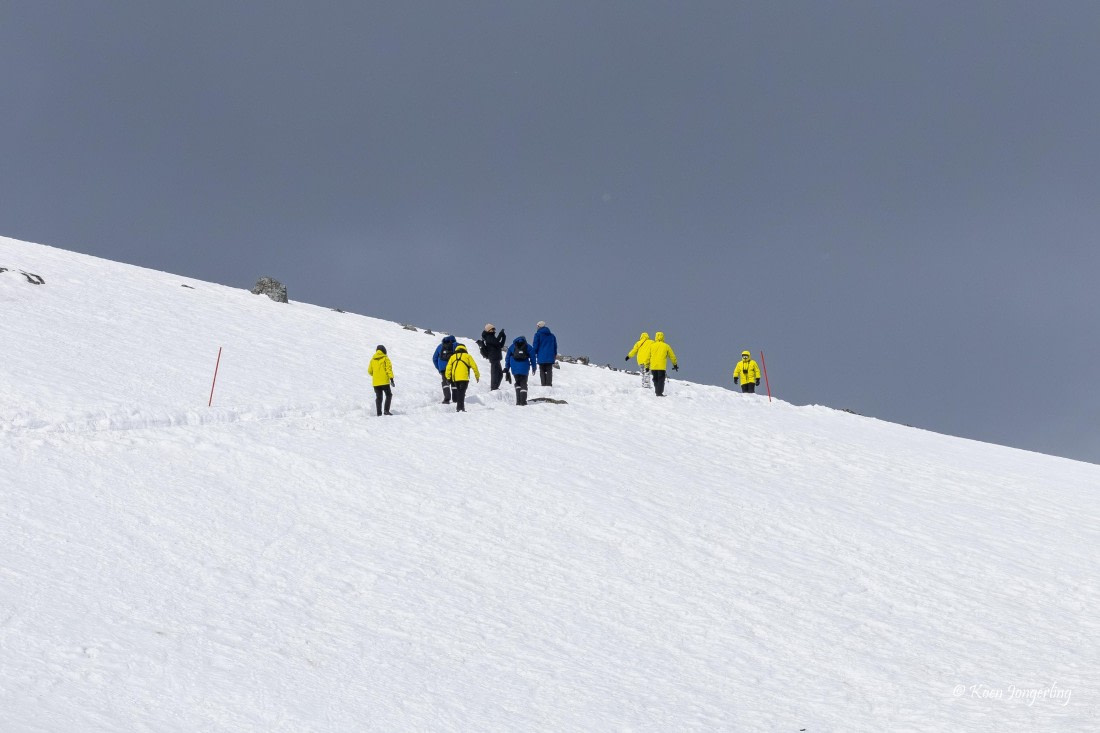 HDS23-25, Day 8, 5D5A0067 © Koen Jongerling - Oceanwide Expeditions.jpg