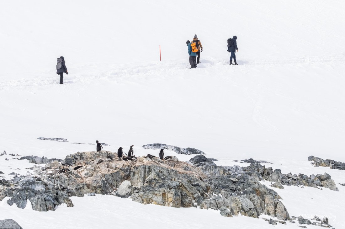 HDS23-25, Day 8, 5D5A0068 © Koen Jongerling - Oceanwide Expeditions.jpg