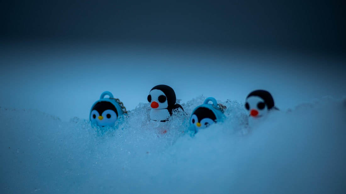 HDS23-25, Day 9, RLO_6429 © Alexander Romanovskiy - Oceanwide Expeditions.jpg