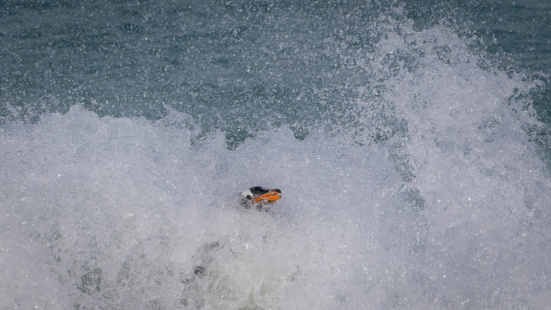 PLA23-25, Day 3,   29-11 - Birds - AC-14.jpg©Andrew Crowder - Oceanwide Expeditions.jpg