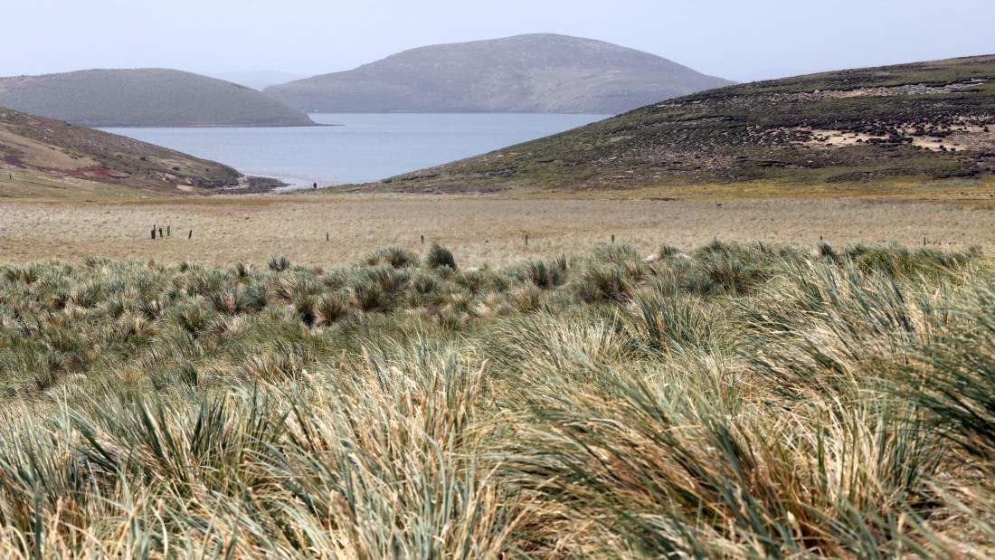 PLA23-25, Day 3,   PLA23_29NOV_FLK_New_Island_RegisPERDRIAT (6).jpg©Regis Perderiat - Oceanwide Expeditions.jpg