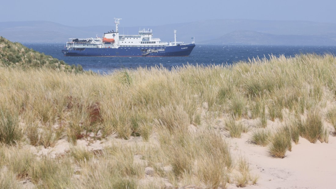 PLA23-25, Day 3,   PLA23_29NOV_FLK_New_Island_RegisPERDRIAT (17).jpg©Regis Perderiat - Oceanwide Expeditions.jpg