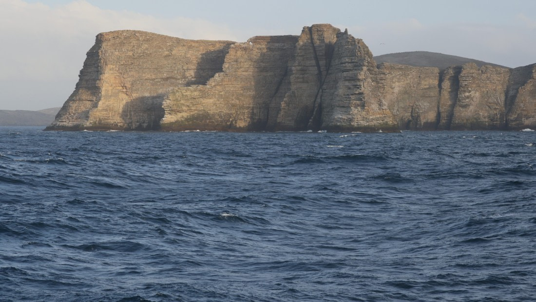 PLA23-25, Day 3,   PLA23_29NOV_FLK_New_Island_RegisPERDRIAT (35).jpg©Regis Perderiat - Oceanwide Expeditions.jpg