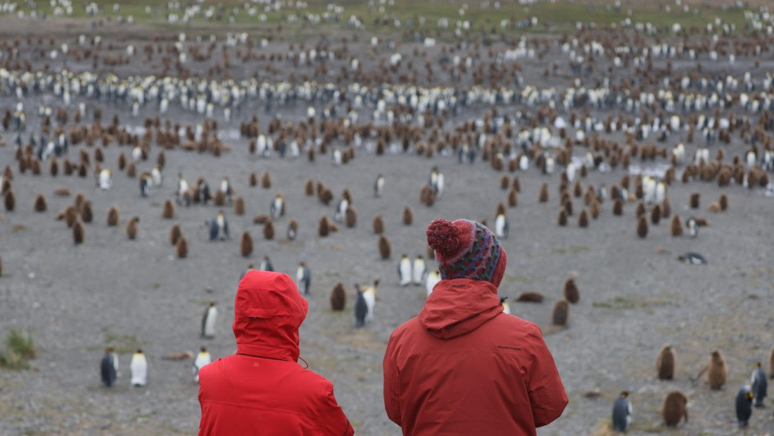 PLA23-25, Day 9,  PLA23_05DEC_SouthGeorgia_Day8_RegisPERDRIAT (22).jpg©Unown Photographer - Oceanwide Expeditions.jpg