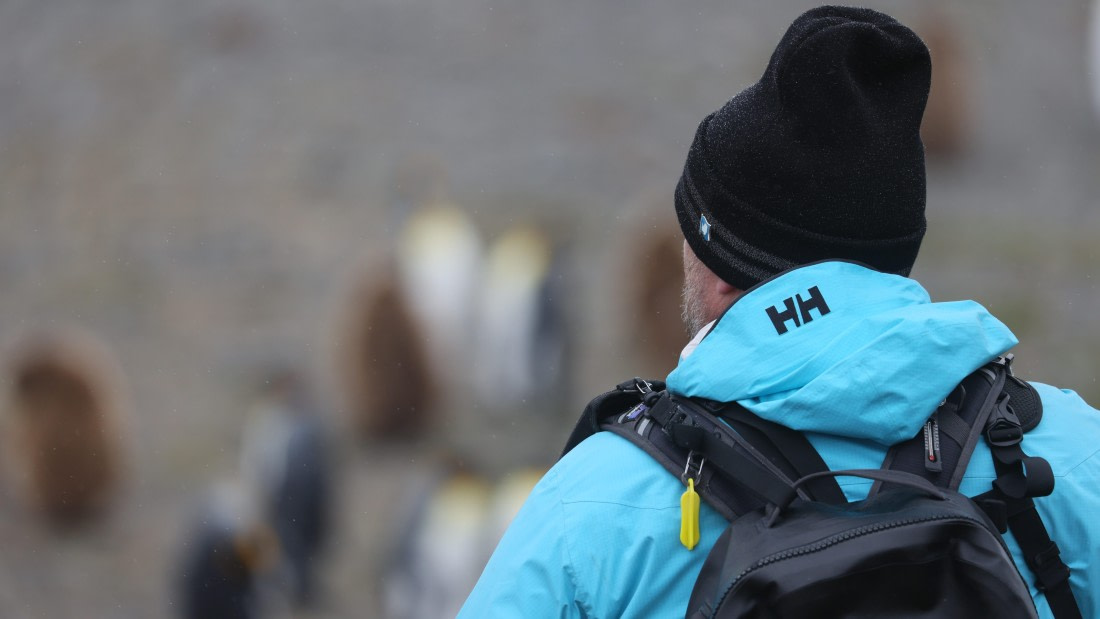 PLA23-25, Day 9,  PLA23_05DEC_SouthGeorgia_Day8_RegisPERDRIAT (23).jpg©Unown Photographer - Oceanwide Expeditions.jpg