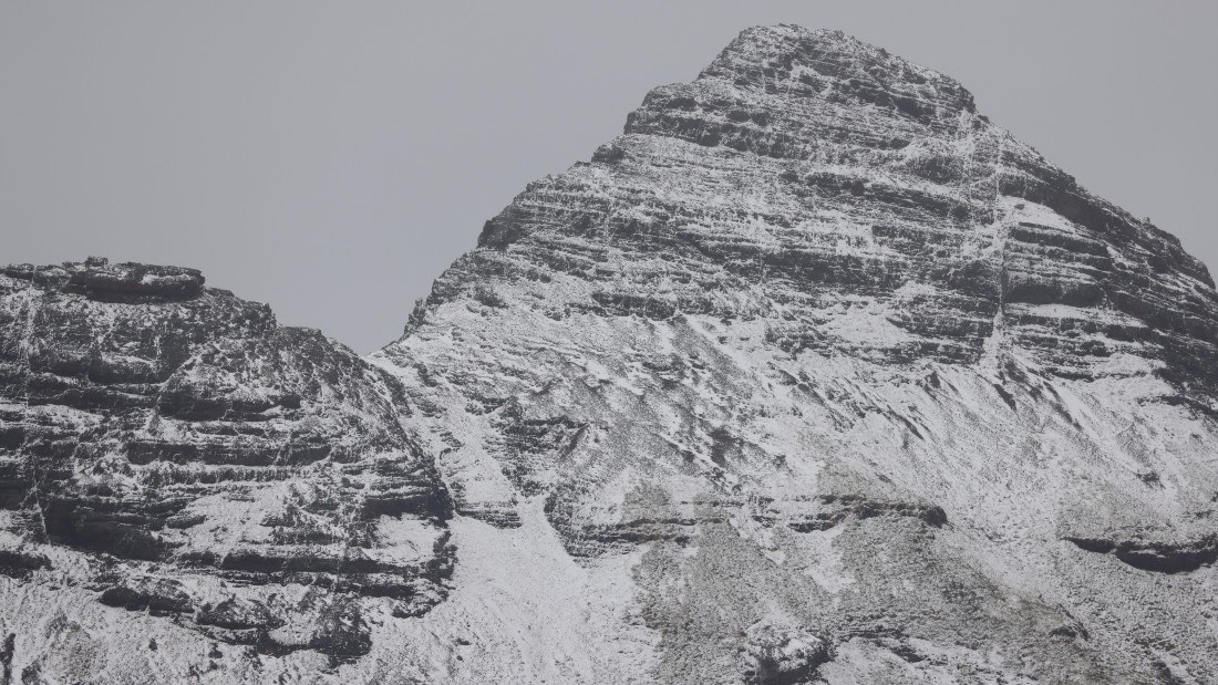 PLA23-25, Day 9,  PLA23_05DEC_SouthGeorgia_Day8_RegisPERDRIAT (27).jpg©Unown Photographer - Oceanwide Expeditions.jpg