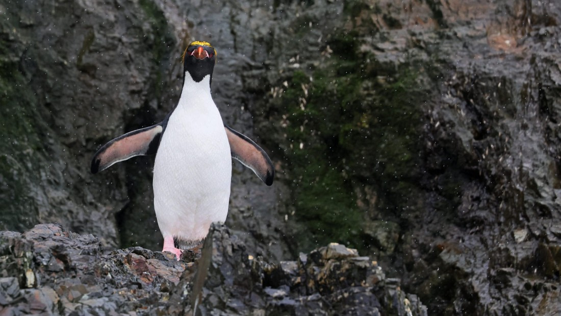 PLA23-25, Day 9, Day 09_RegisPERDRIAT (11).jpg ©Regis Perdriat - Oceanwide Expeditions.jpg