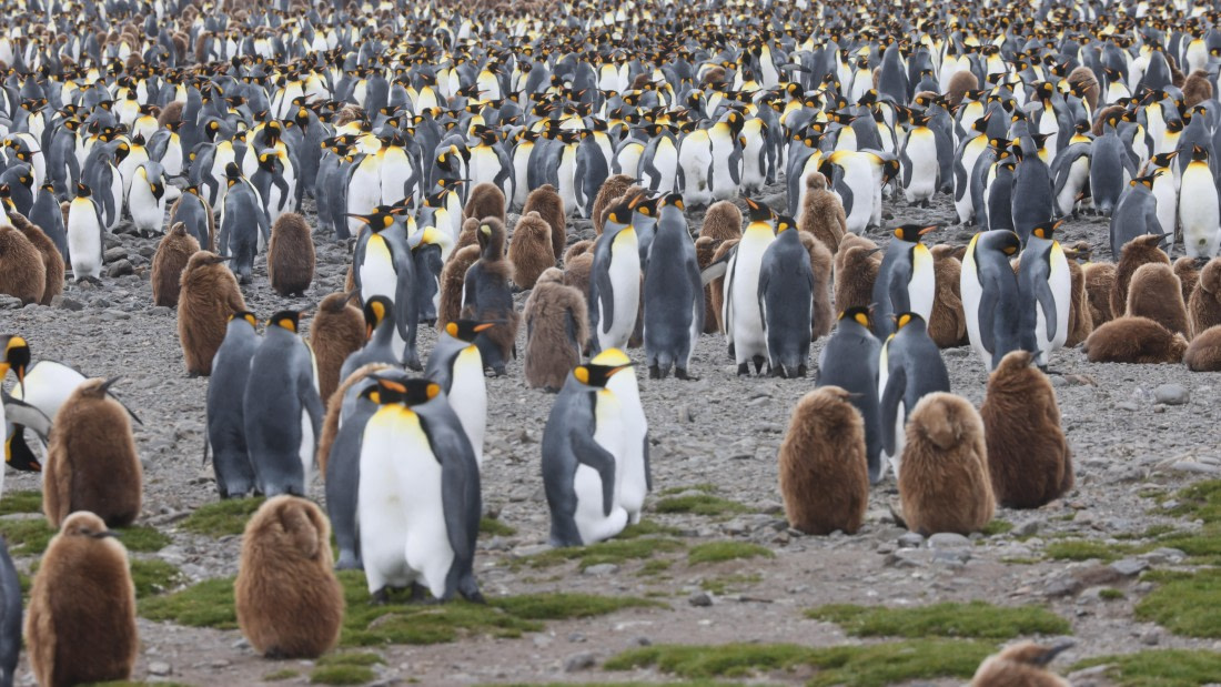 PLA23-25, Day 9, Day 09_RegisPERDRIAT (15).jpg ©Regis Perdriat - Oceanwide Expeditions.jpg