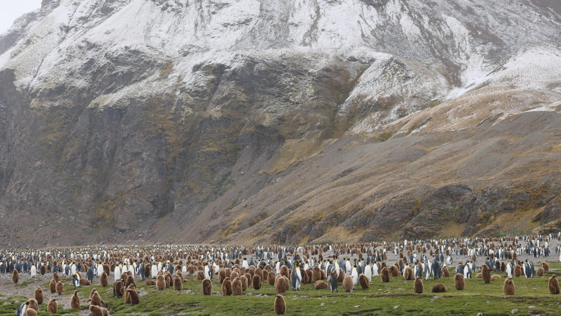 PLA23-25, Day 9, Day 09_RegisPERDRIAT (19).jpg ©Regis Perdriat - Oceanwide Expeditions.jpg