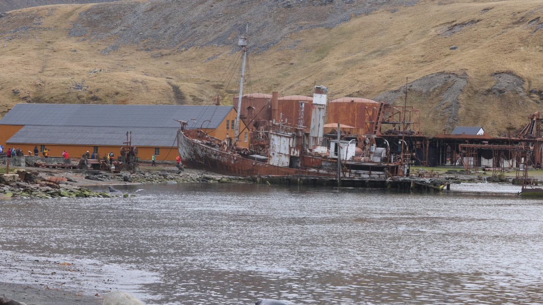 PLA23-25, Day 9, Day 09_RegisPERDRIAT (31).jpg ©Regis Perdriat - Oceanwide Expeditions.jpg