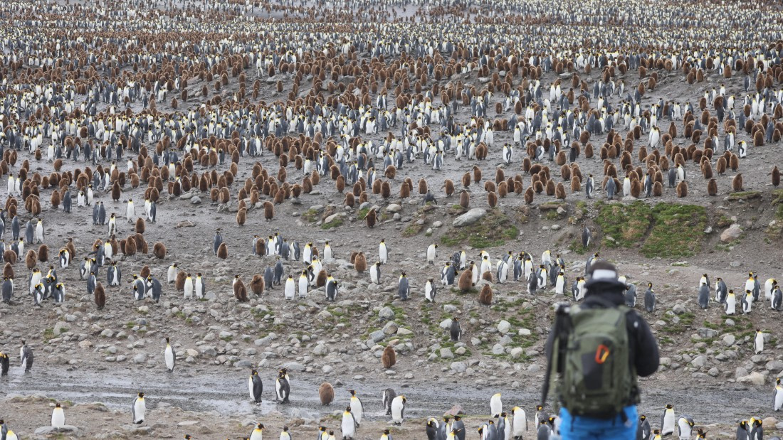 PLA23-25, Day 10, Day 10_RegisPERDRIAT (12).jpg ©Regis Perdriat - Oceanwide Expeditions.jpg