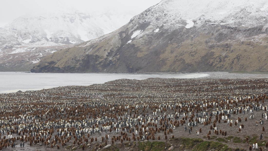 PLA23-25, Day 10, Day 10_RegisPERDRIAT (13).jpg ©Regis Perdriat - Oceanwide Expeditions.jpg